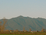 0005 maunga_te_aroha_ looking_east_thumb.gif